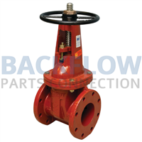 Flanged Gate Valve - OSY - 2.5"