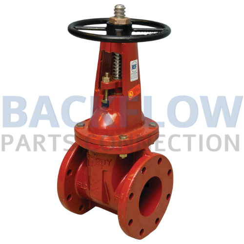 Flanged Gate Valve - OSY - 2.5"