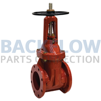 Flanged Gate Valve - OSY - 6"