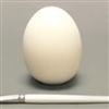 Bisque Large Egg (Unpainted, ready for glaze)