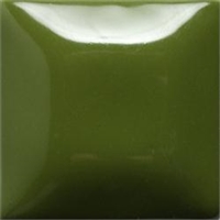 Army Surplus Stroke & Coat Glaze 2oz