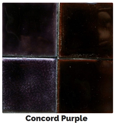 Concord Purple Enamel - 2 oz.