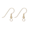 Gold Filled Earwires w/ Ball and Coil 1 pr