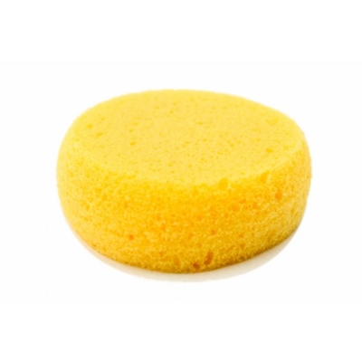 Sponge