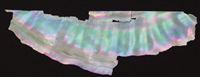 Genuine Abalone Shell Slice