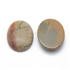 Picasso Jasper (30x40mm) Cab