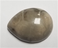 Fossil Coral 20mm x 15mm Pear Cabochon