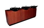 EUROPEAN Three-Bowl Backwash System