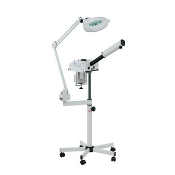 Steamer & Mag Lamp Combo
