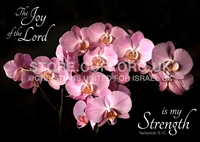 Floral Collection - Joy of the Lord