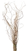 Curly Willow Branches, (case of 4, shipping included!)