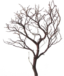 Natural Red Manzanita Branches, 18 in. tall