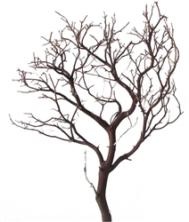 Natural Red Manzanita, 18" tall, (case of 25, shipping included)