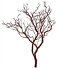 Natural Red Manzanita Branches, 30" Tall