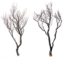 Natural Red Manzanita Branch, 48"