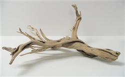 Sandblasted Ghostwood (California Driftwood), 10-12", case of four (shipping included!)