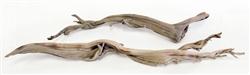 Sandblasted Ghostwood, 10" (California Driftwood) Stick, case of 15 (shipping included!)