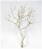 Sandblasted Manzanita Branches, 14" tall