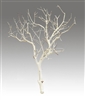 Sandblasted Manzanita Branches, 24" tall