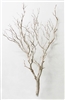 Sandblasted Manzanita Branches, 42" tall