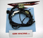 400EX MAIN WIRE HARNESS 05 - 07