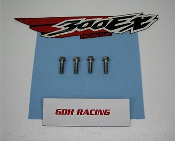 2006 TRX 300ex ENGINE FOOT PEG BOLTS 300 EX