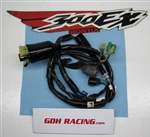 300EX MAIN WIRE HARNESS 93 – 06