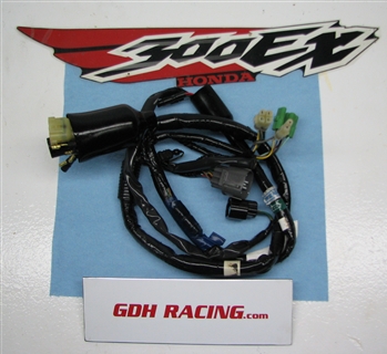 300EX MAIN WIRE HARNESS 93 – 06