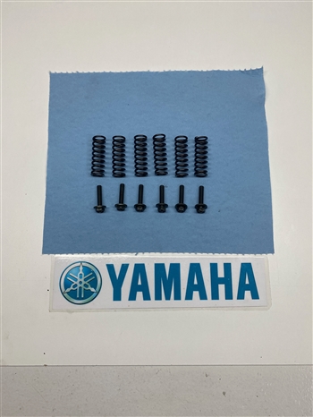 06 YFZ 450 CLUTCH SPRINGS AND BOLT SET
