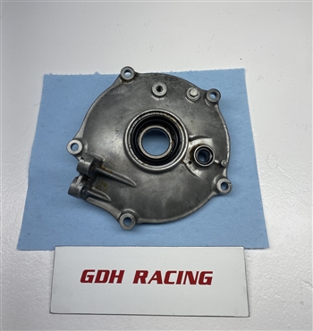 03 250 RECON BACK BRAKE PLATE TRX