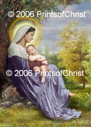 8-015 Virgin Mary and Baby Jesus - 8 x 10 Ready to Frame Photograph