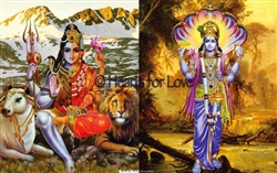 CS-15 Lord Vishnu / Shiva Shakti