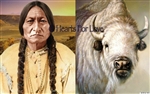 CS-24 Chief Sitting Bull / White Buffalo