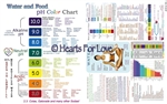 CS-28 pH Food Balance Chart / pH Balance Chart