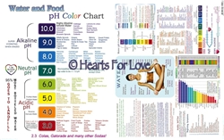 CS-28 pH Food Balance Chart / pH Balance Chart