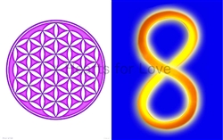 CS-43 Flower of Life (purple) / Infinity Symbol
