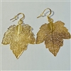Gold Plated Sycamore Leaf Earrings 30mm