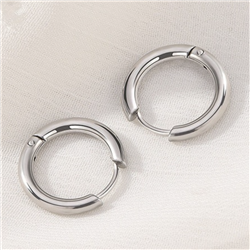 Stainless Steel Earrings