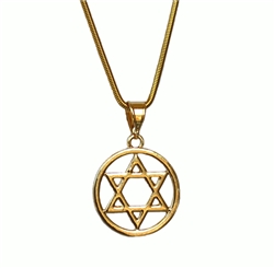 G-SDP Gold plated Star of David Pendant with Chain