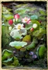 OP-54  Lotus Flowers - 24" x 36" Original Oil Painting