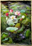 Lotus Flowers - 24" x 36" Original Oil Painting