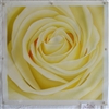 OP-FL19 YELLOW ROSE 24" x 24" Original Oil Painting