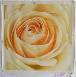 Rose Original Oil Painting 24" x 24"