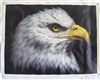 OP-M22 EAGLE - 20" x 24" Original Oil Painting