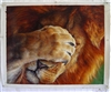 OP-M23 LION - 24" x 30" Original Oil Painting