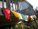 PF-01 Tibetan Prayer Flags $10