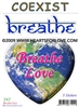 S-42 Breathe Love