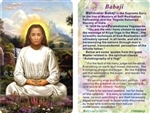 WA-116 Mahavatar Babaji - Wallet Altar