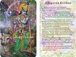 WA-017 Krishna - Wallet Altar