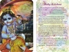 WA-021 Baby Krishna - Wallet Altar